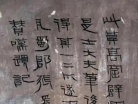 Ŵǧڶػ